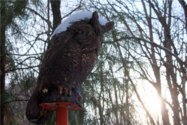 Тверской Ботанический Сад, заключительная часть