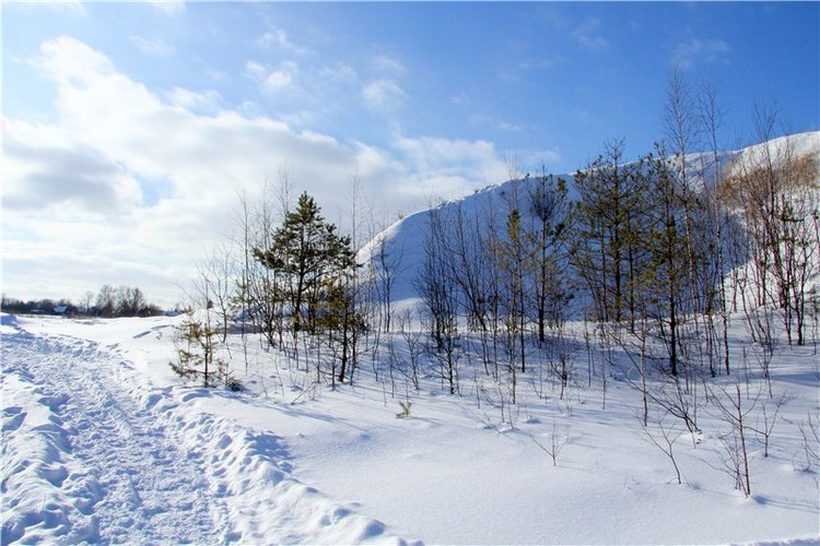 Зимняя прогулка Сони. Уникальная кукла от Сильвии Наттерер