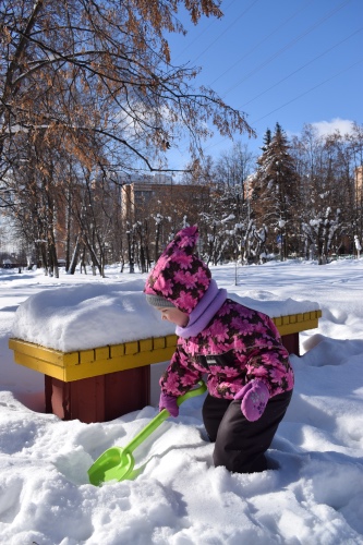 Милый... милый Хатико — Домашние фото авторских игрушек: Тедди (фото 2)