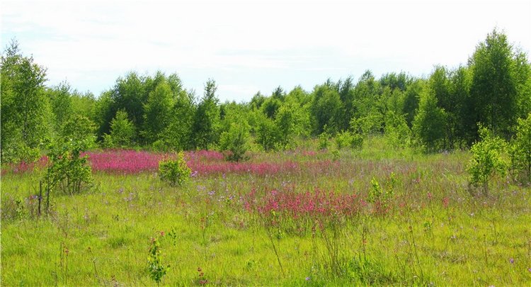 Ясмина. Презентация участницы на конкурс кукольной красоты "Мисс Бэйбики 2018", заключительная часть