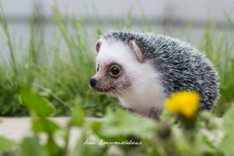 Ёжинька — Валяные игрушки из шерсти: сухое валяние