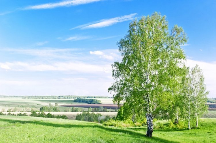 30 марта — народный праздник Алексей Теплый (фото 4)