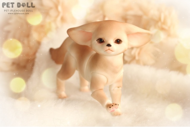 Новинки от Iplehouse - Маленький принц Fay (формат KID) и лис Fennec Fox (фото 10)