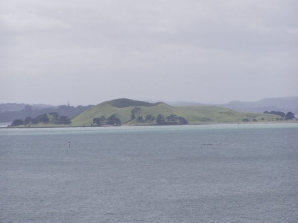 Увлекательное путешествие по Новой Зеландии (фото 4)