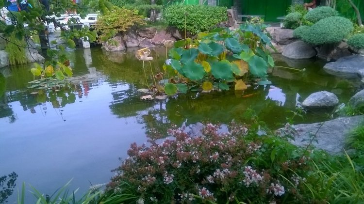 Тур по Европе или долгожданный подарок самой себе. Часть 11