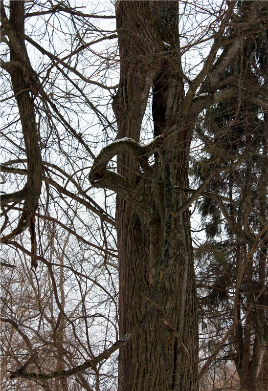 Путешествие в первый день Весны