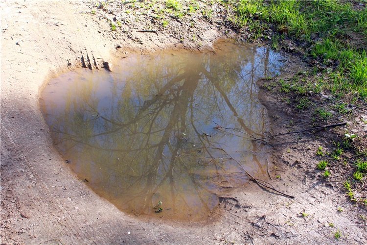 Прогулка Софи. Lati HoneyBee New Mystic Sophie | Бэйбики Прогулка Софи. Lati HoneyBee New Mystic Sophie