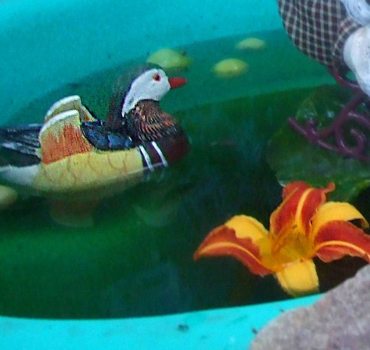 Болотные страсти!... Последние штрихи подготовки к августфесту