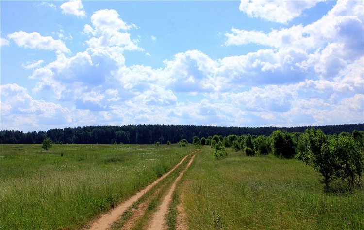 Путешествие Катрин. Katrin, Stoffpuppe Doll, Kathe Kruse (фото 3)