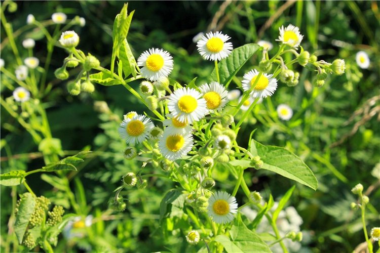 Путешествие Эли на красивый берег реки Волги