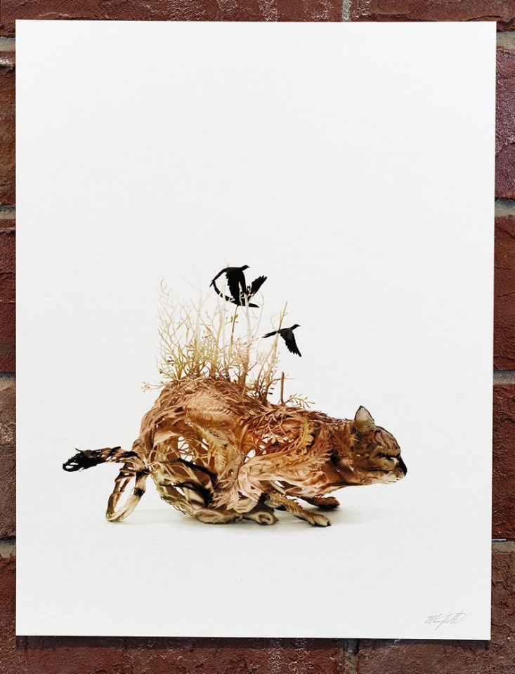 EllenJewettPrintShop - "Сюрреалистическая естественная история" by Ellen Jewett (фото 3)