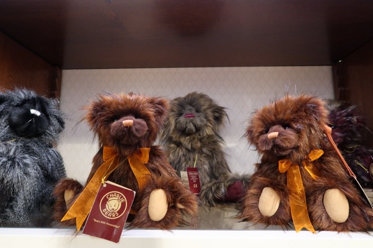 Знакомьтесь, новый вид медведей - медведь сумочный