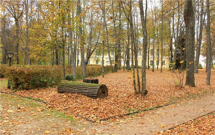 Золотая Осень в Берново с Имани. Mini Imani от Kaye Wiggs