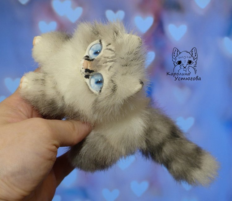 Котята Охос азулес. Чарующие глаза