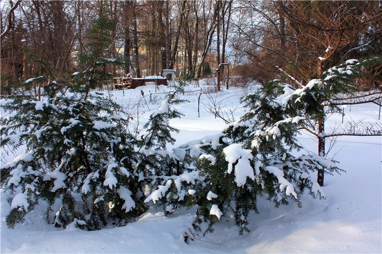 Тверской Ботанический Сад, заключительная часть