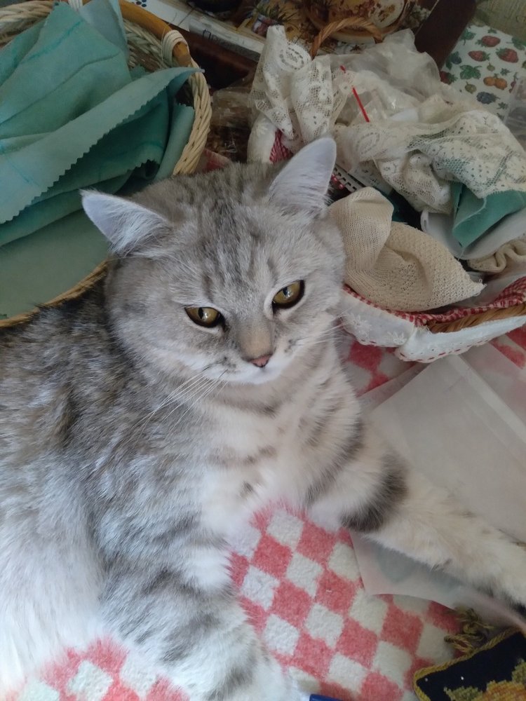 Гостей с такими подарками надо гнать поганой метлой! Или не надо