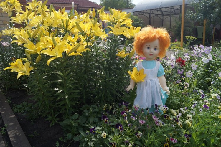 На день рождения Василисы я подарила новое платье