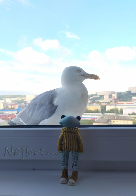 Большое путешествие Кензо. Арктика. Северный полюс (фото 8)