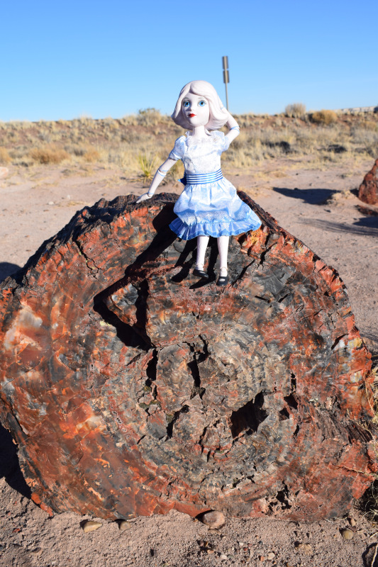 Моё сердечко — Разные шарнирные куклы (не БЖД): редкие (фото 3)