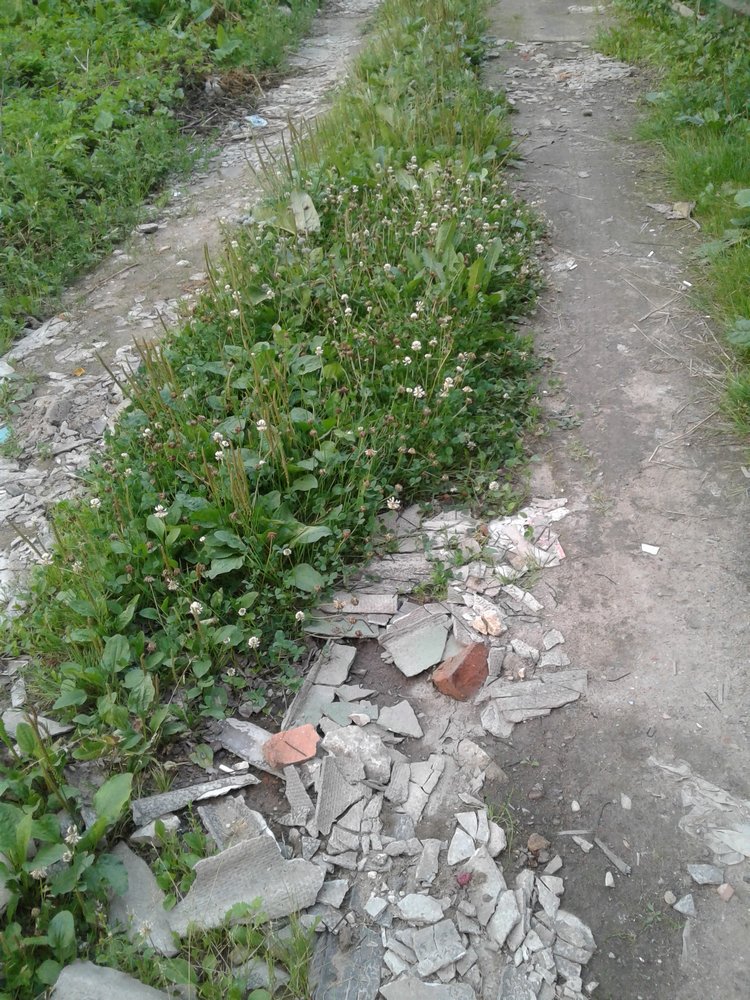 Просто Макс — Кукольные фотоистории и сериалы: комиксы