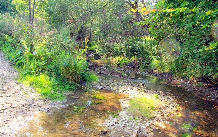 Старицкая Швейцария. Путешествие с Сашей, продолжение. Уникальная кукла от Сильвии Наттерер