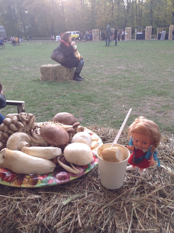 Аптекарский огород сегодня. ч.5. Грибной фестиваль