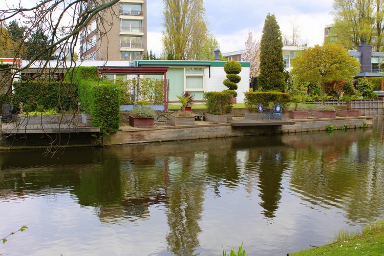 Цветущая Сакура. Прогулка по парку с Алисой. Весенние зарисовки