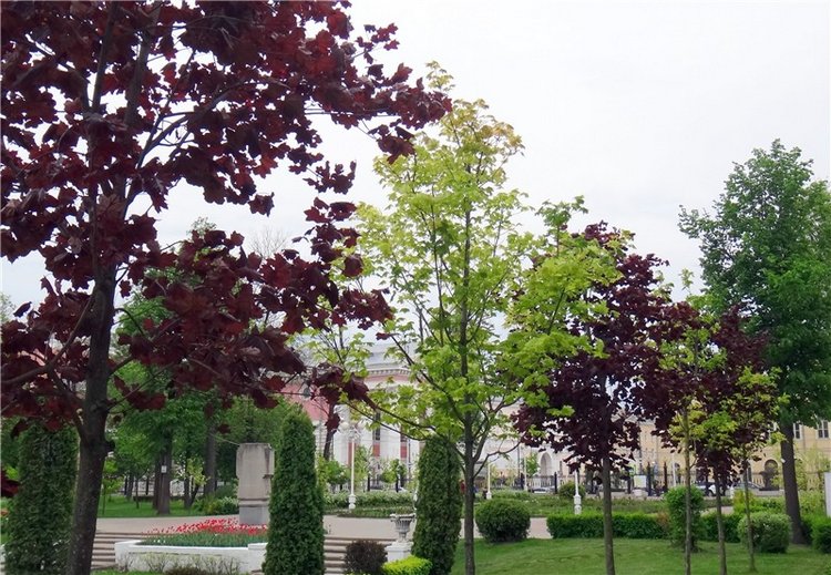 Милый мой город. Прогулка по Твери, заключительная часть