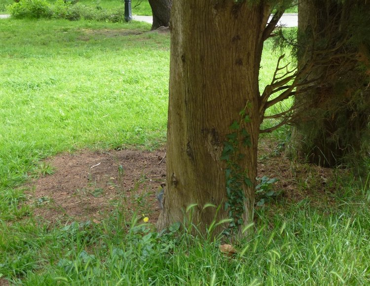 Сочи-Адлер: Южное Взморье - виртуальное путешествие по территории санатория