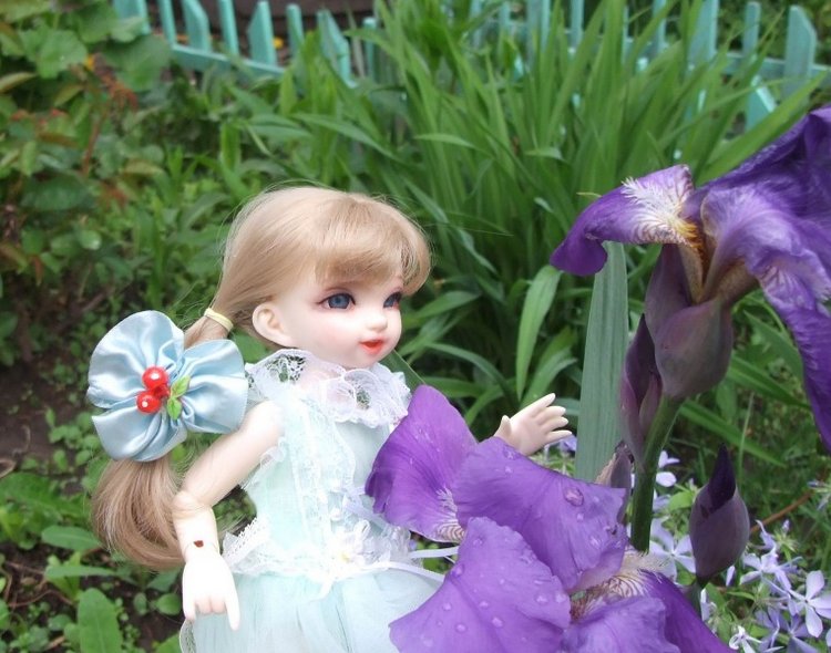 После дождичка в саду) — Красивая природа и цветы: фото пейзажей (фото 6)