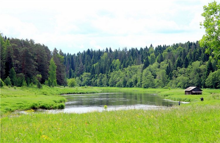 "Троицкие гуляния" в Василёво, 2018 год. Архитектурно-этнографический музей под открытым небом Василёво