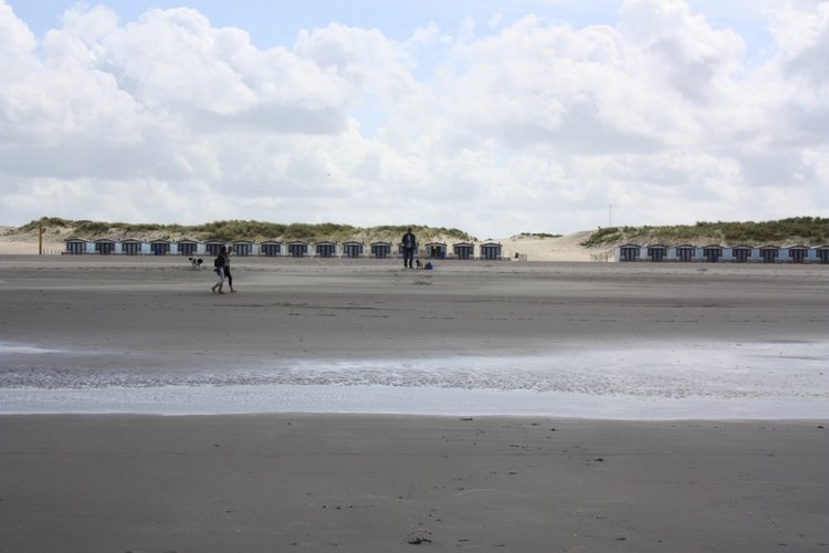 Мисс Бэйбики 2019. Ночная фотосессия в купальнике - часть первая | Бэйбики Мисс Бэйбики 2019. Ночная фотосессия в купальнике - часть первая