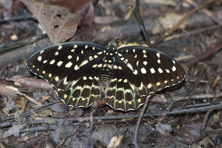 Любителям природы - профессиональные фотографии (выпуск 4)