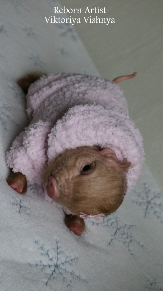 Поросенок Мила... куколка реборн Виктории Вишни (фото 6)