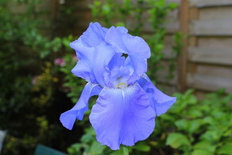 Любовь нечаянно нагрянет — Фэшн (фото 6)