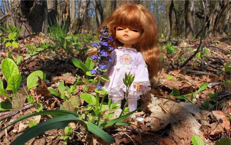 Путешествие Софи в Старицу, продолжение. Lati HoneyBee New Mystic Sophie