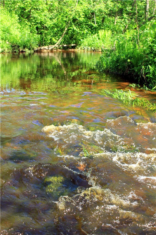 Затерянный Мир — Красивая природа и цветы: фото пейзажей