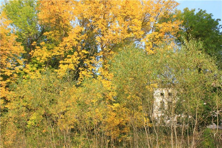 Путешествие Dal Hangry в Грузины