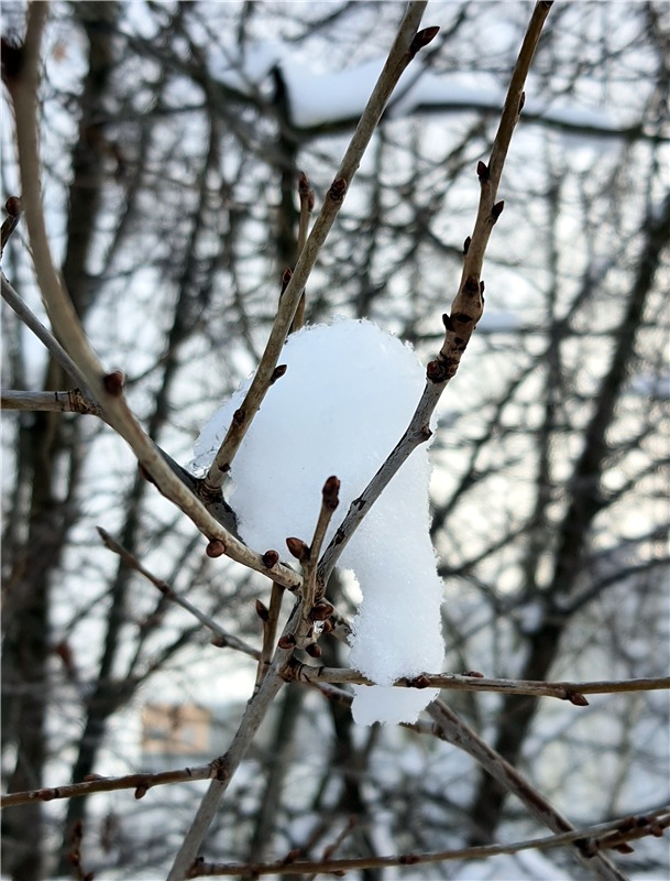 Снежно-Нежно Новогодний — Винтажные куклы ГДР (Немки): Бигги (фото 6)