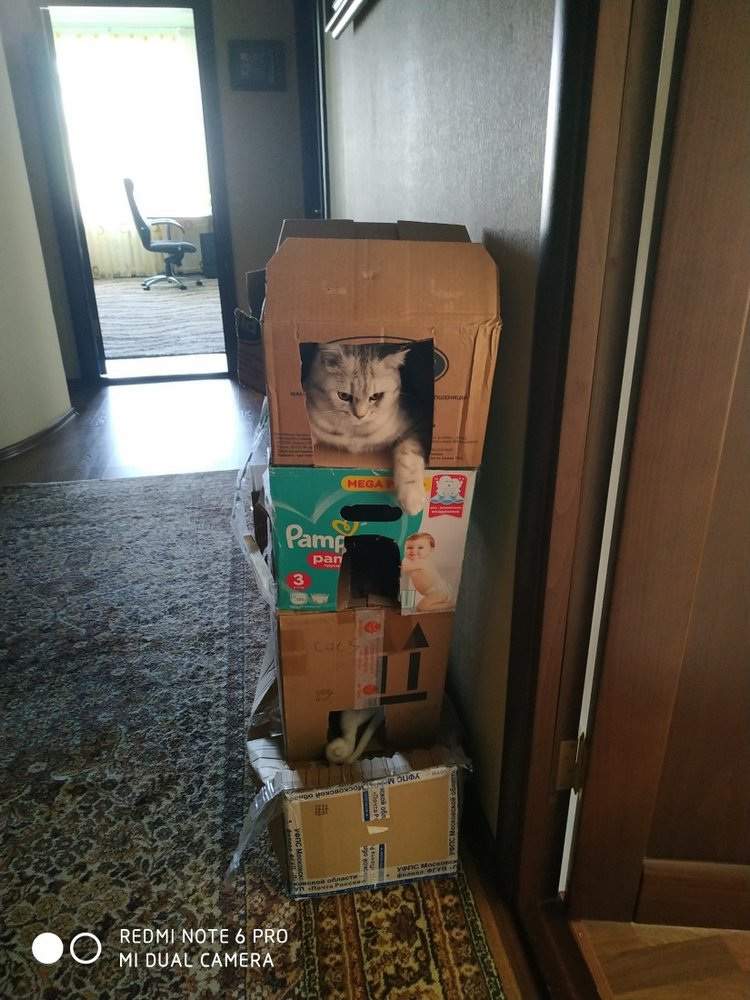 Гостей с такими подарками надо гнать поганой метлой! Или не надо (фото 3)