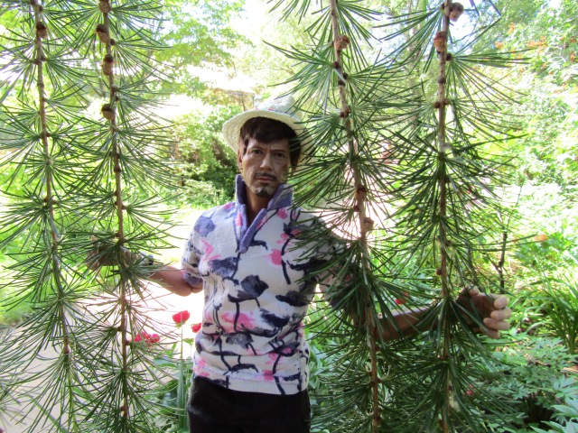 Тони Старк: приключения без брони. И снова Аптекарский огород | Бэйбики Тони Старк: приключения без брони. И снова Аптекарский огород