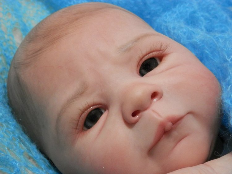 Хомячок Сили. Кукла реборн Шутовой Анны (фото 2)