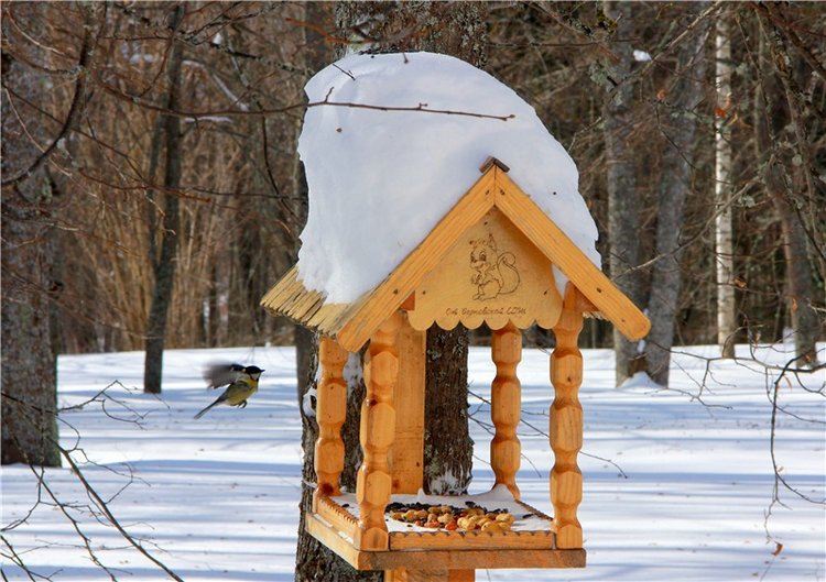 Снежный Март — Туризм и путешествия: фотоотчеты из поездок