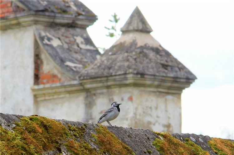 Усадьба Чукавино, Тверская область