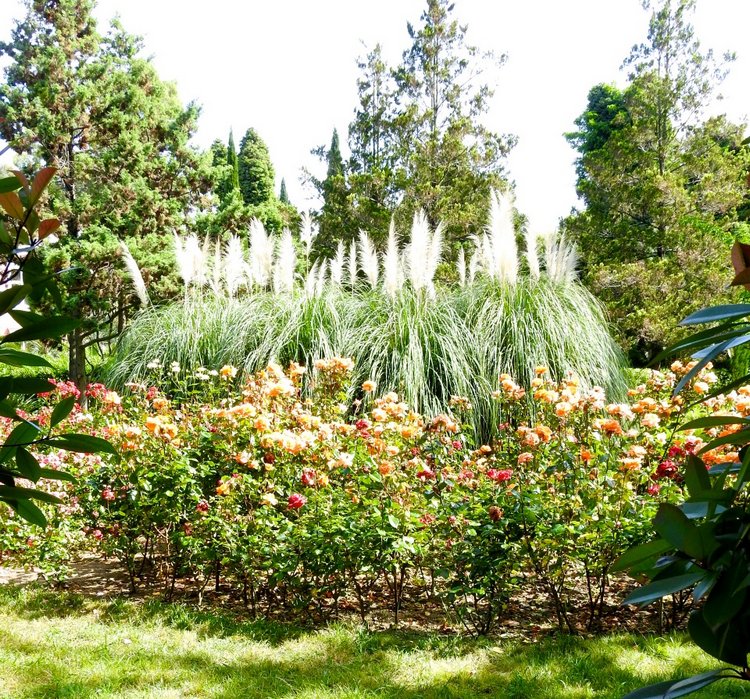 Краснодарский Край, Сочи-Адлер, Санаторий «Южное Взморье»