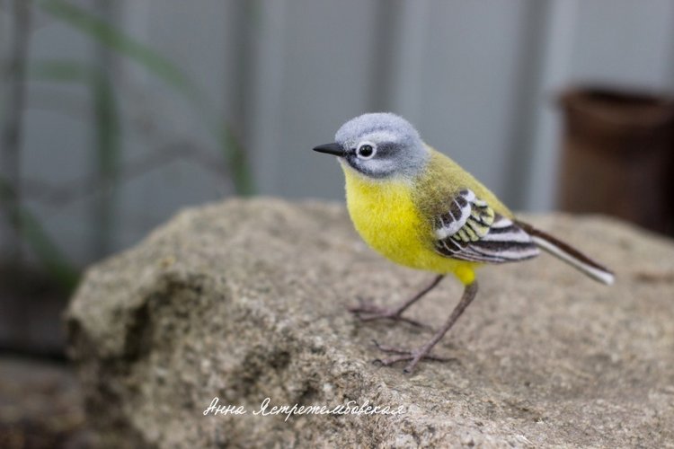 Жёлтая трясогузка — Валяные игрушки из шерсти: сухое валяние (фото 8)