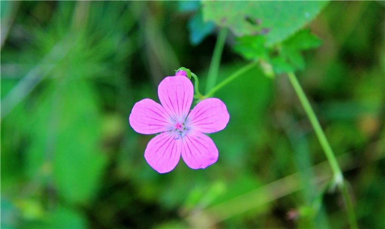 Старицкая Швейцария. Старицкие пещеры, д. Толпино, заключительная часть