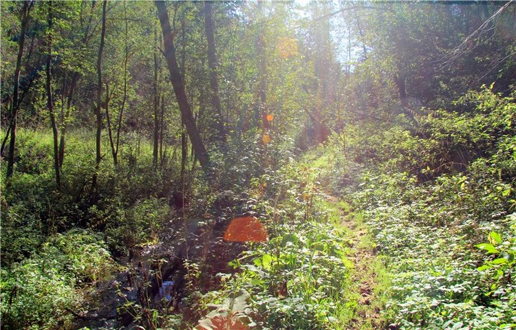 Старицкая Швейцария. Старицкие пещеры, д. Толпино, заключительная часть