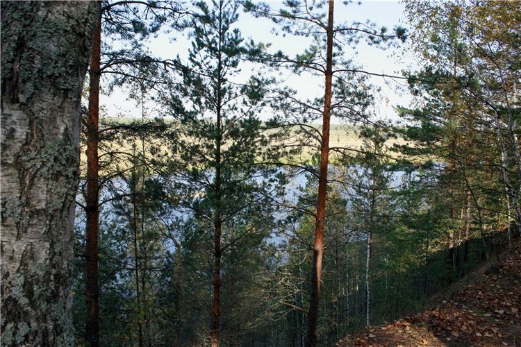 Путешествие Адель в "Сад камней". Джульетта от Sylvia Natterer