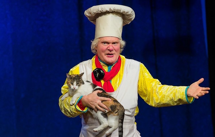 Молодое поколение клоунят или детки Дианы Эффнер